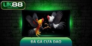 Đá Gà Cựa Dao