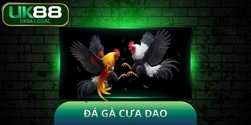 Đá Gà Cựa Dao