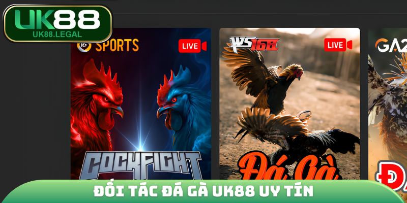 Đối tác đá gà UK88 uy tín
