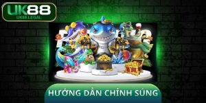 Hướng Dẫn Chỉnh Súng