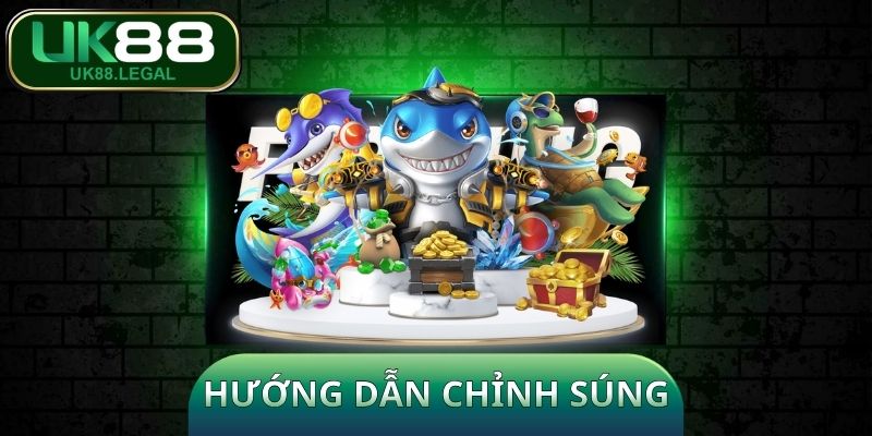 Hướng Dẫn Chỉnh Súng