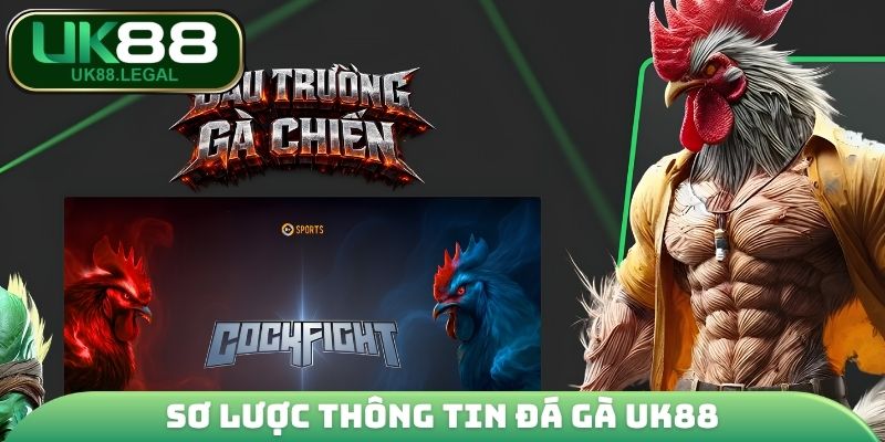 Sơ lược thông tin đá gà UK88